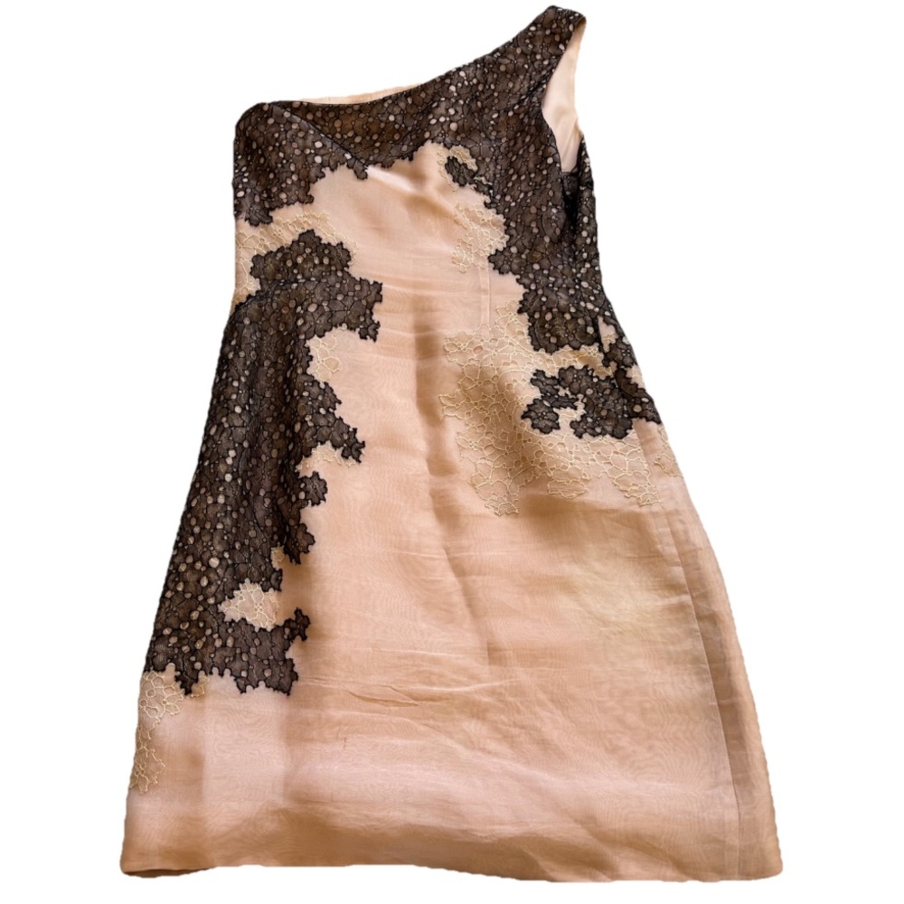 J. Mendel One-Shoulder Dress in Blush w/ Black Lace Detailing Size 6 Silk Chic - Picture 2 of 5
